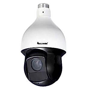 Bullwark BLW IS2055 SW 2Mp 30X IP Speed Dome Kamera